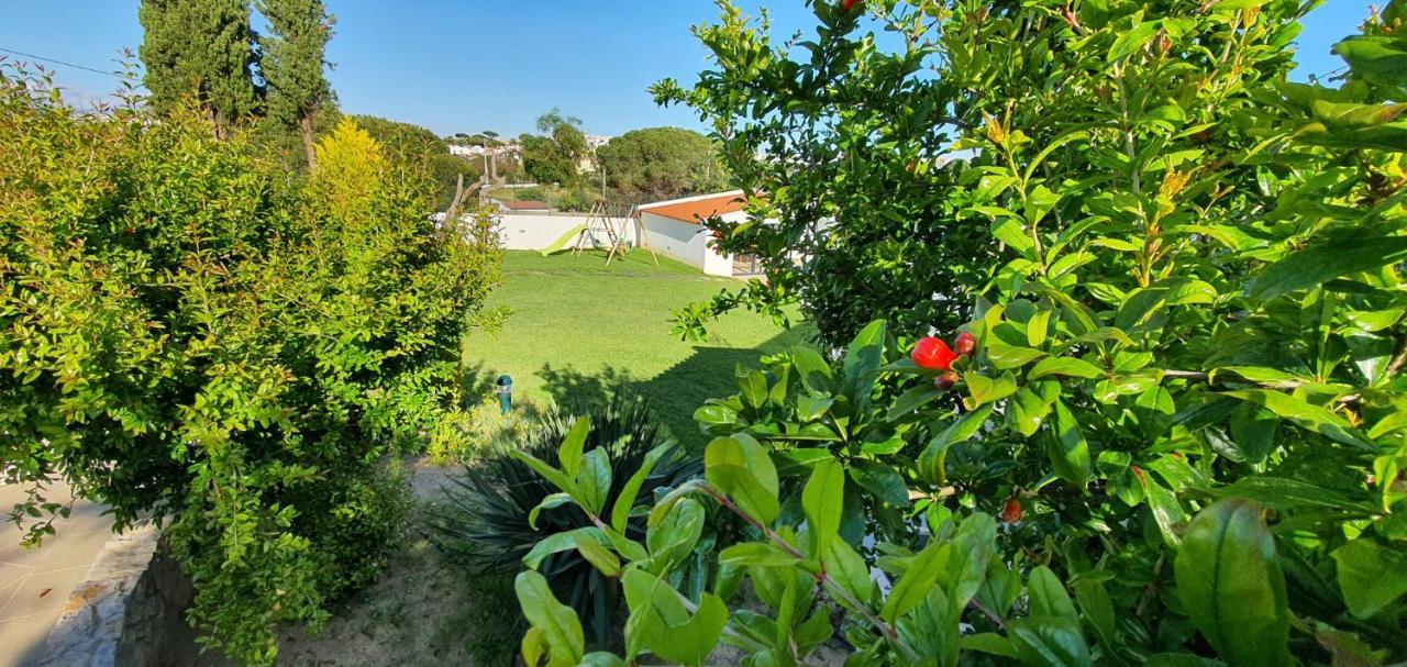 Villa Margarida By Laranjal Rentals Albufeira Kültér fotó